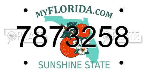 7873258 Florida License Plate