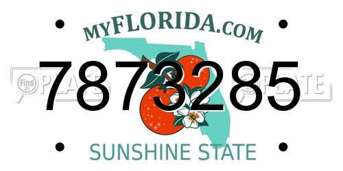 7873285 Florida License Plate