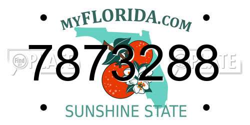 7873288 Florida License Plate