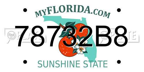 78732B8 Florida License Plate