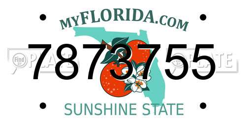 7873755 Florida License Plate