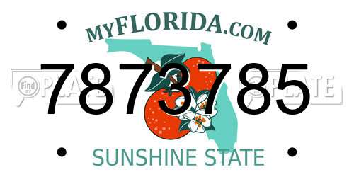 7873785 Florida License Plate