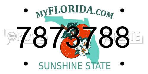 7873788 Florida License Plate