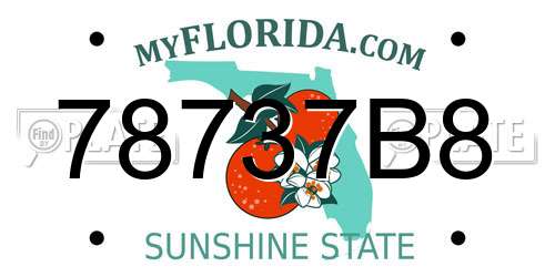 78737B8 Florida License Plate