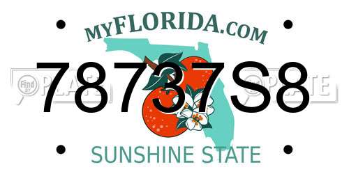 78737S8 Florida License Plate