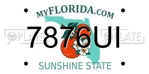 7876UI Florida License Plate