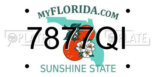 7877QI Florida License Plate