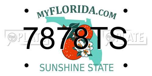 7878TS Florida License Plate