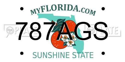 787AGS Florida License Plate