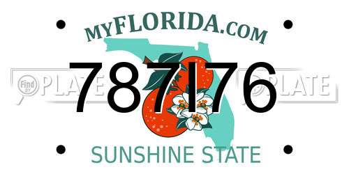 787I76 Florida License Plate
