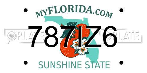 787IZ6 Florida License Plate