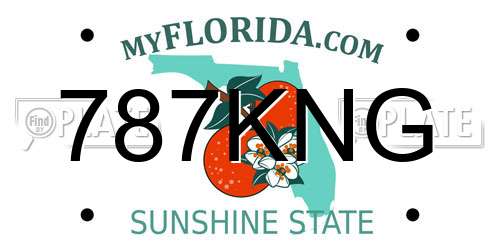 787KNG Florida License Plate