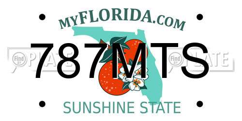 787MTS Florida License Plate