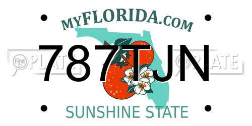 787TJN Florida License Plate