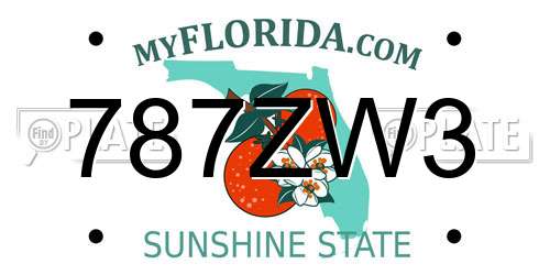 787ZW3 Florida License Plate