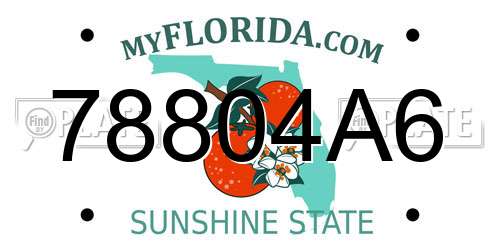 78804A6 Florida License Plate