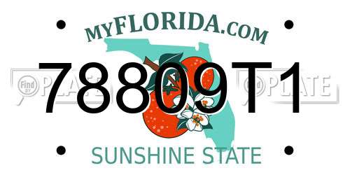 78809T1 Florida License Plate