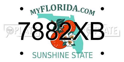 7882XB Florida License Plate