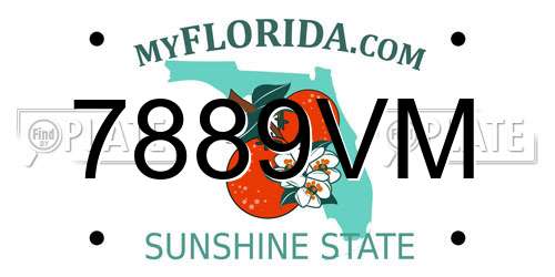 7889VM Florida License Plate