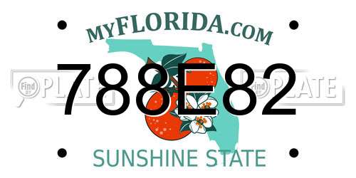 788E82 Florida License Plate