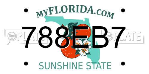 788EB7 Florida License Plate