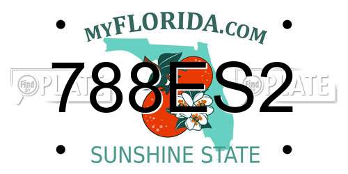 788ES2 Florida License Plate