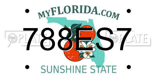788ES7 Florida License Plate