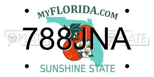 788JNA Florida License Plate