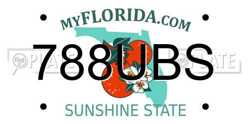 788UBS Florida License Plate