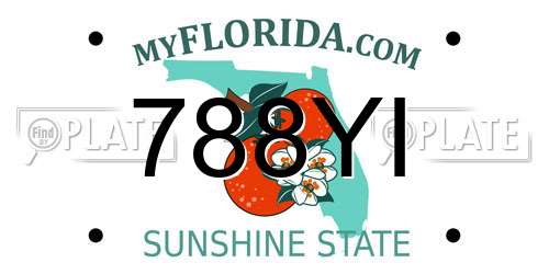 788YI Florida License Plate