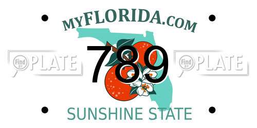 789 Florida License Plate