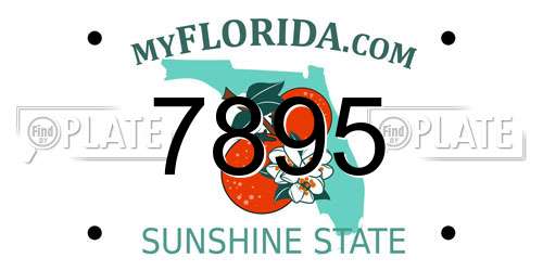 7895 Florida License Plate