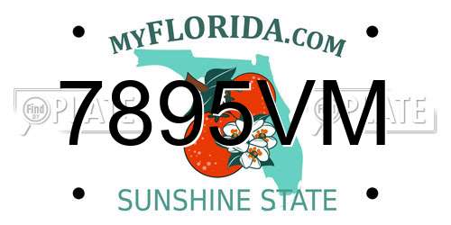 7895VM Florida License Plate