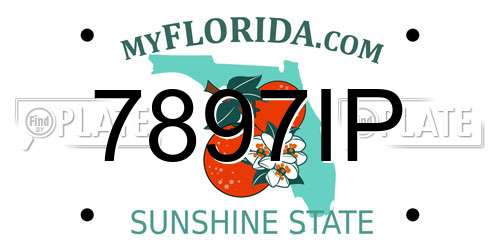 7897IP Florida License Plate