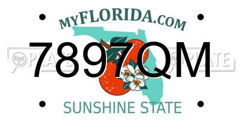 7897QM Florida License Plate