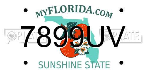 7899UV Florida License Plate