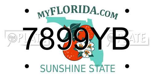 7899YB Florida License Plate