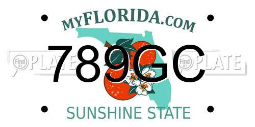 789GC Florida License Plate