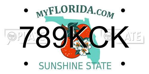 789KCK Florida License Plate