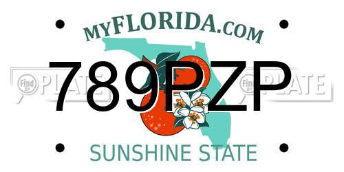 789PZP Florida License Plate