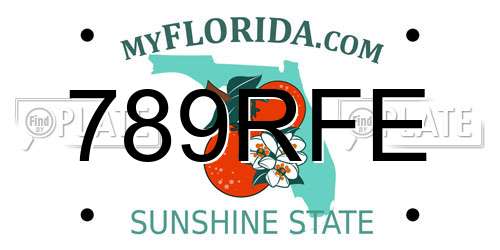 789RFE Florida License Plate