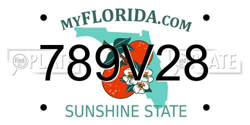 789V28 Florida License Plate