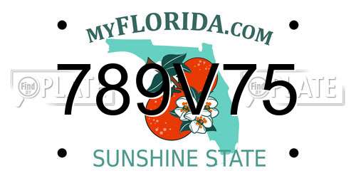789V75 Florida License Plate