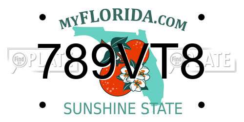 789VT8 Florida License Plate