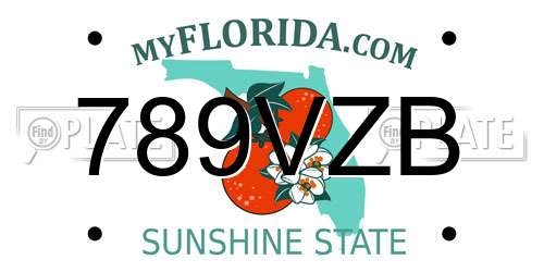 789VZB Florida License Plate