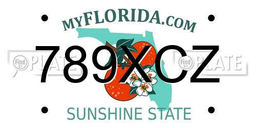 789XCZ Florida License Plate