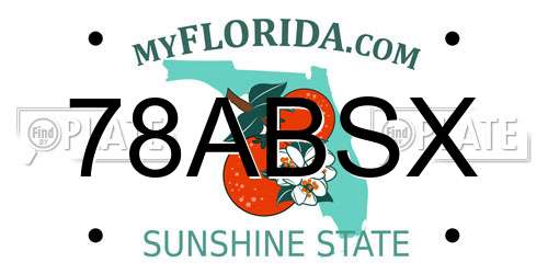 78ABSX Florida License Plate