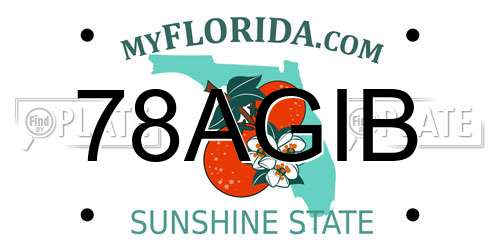 78AGIB Florida License Plate