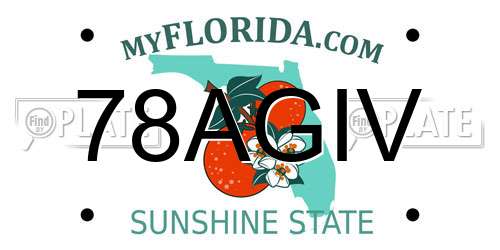 78AGIV Florida License Plate