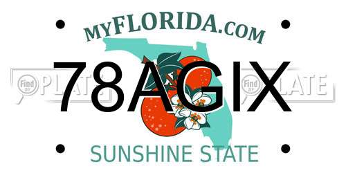 78AGIX Florida License Plate